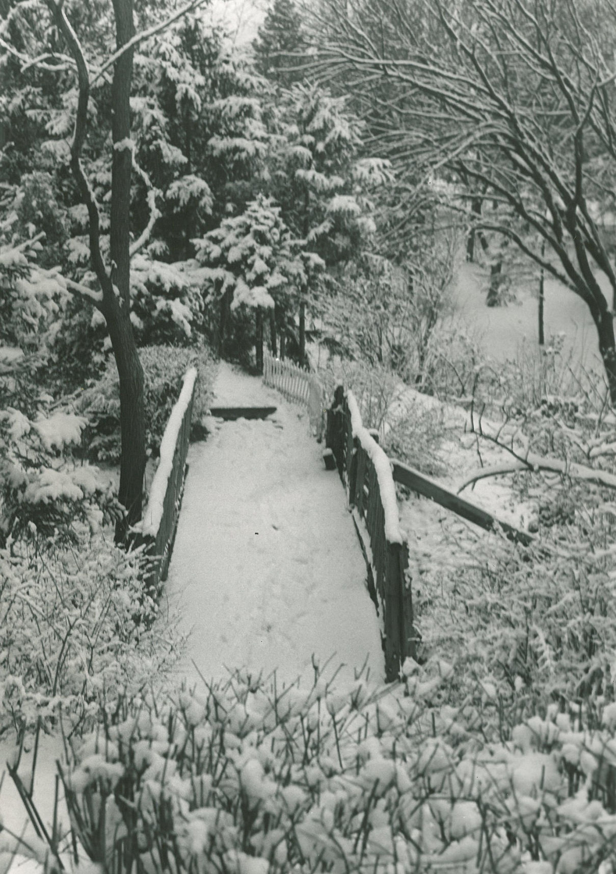 1958